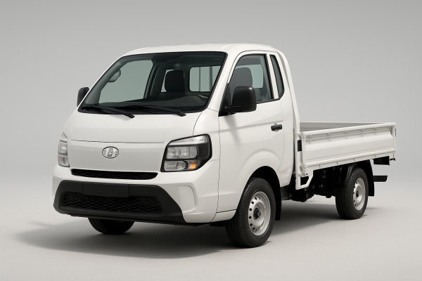 Hyundai H-100